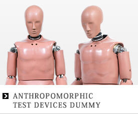 ANTHROPOMORPHIC TEST DEVICES DUMMY