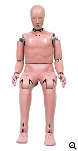 Hybrid-III50th Percentile Male Dummy