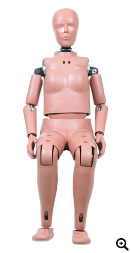 Hybrid-III5th Percentile Female Dummy