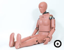 Hybrid-III5th Percentile Female Dummy