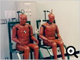 Japanese Governmental MLIT Crash Test Dummies