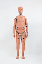 Hybrid III 5M Pedestrian Dummy