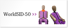 WorldSID50