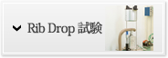 Rib Drop 試験